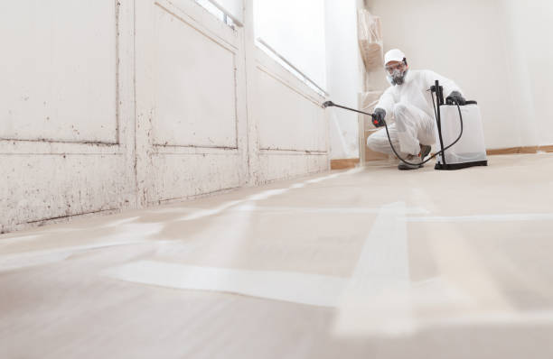 24/7 Emergency Basement Mold Remediation experts in Purcellville, VA