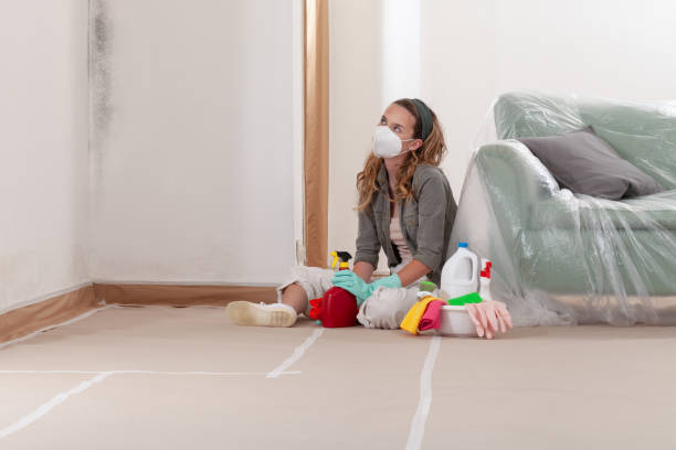 Reliable Basement Mold Remediation contractor in Purcellville, VA by WQB Mold Removal